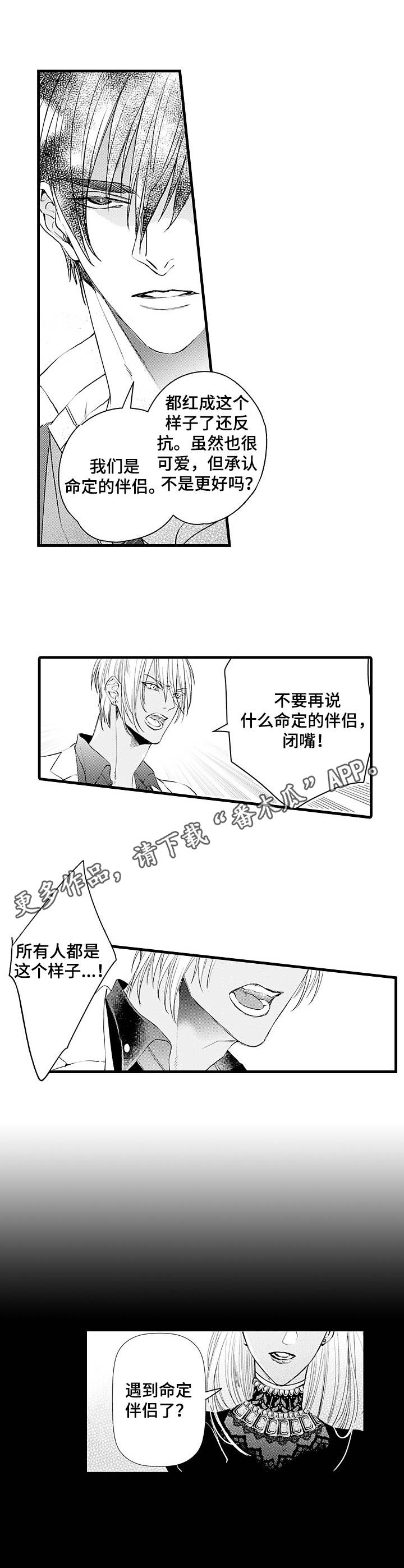 强强对碰漫画,第5章：命定的伴侣1图