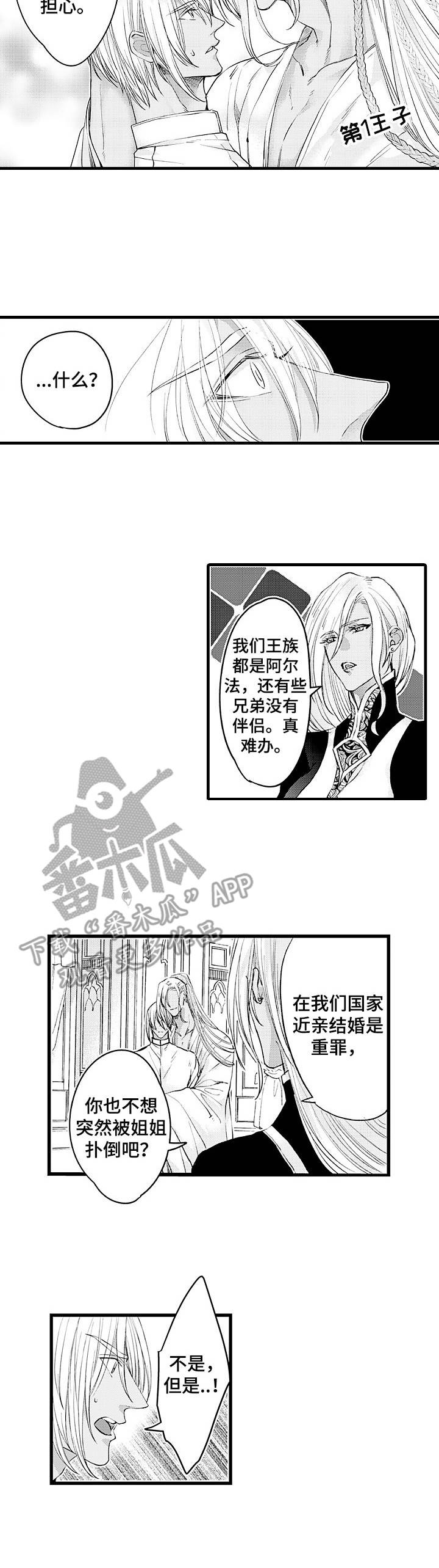 强强对决she漫画,第16章：王族3图