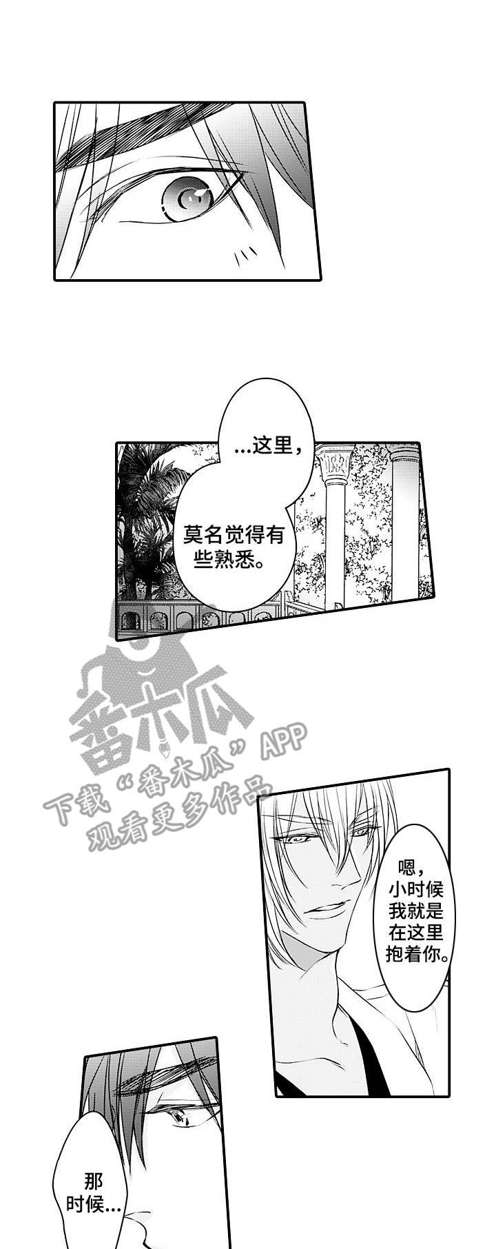强强对决she漫画,第25章：戒指1图