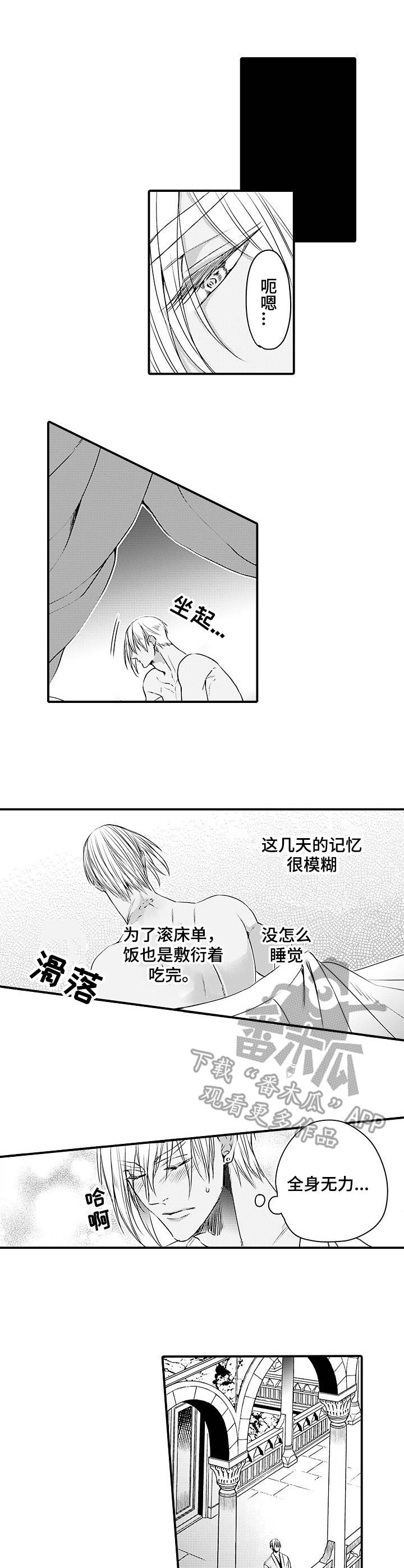 强强对决she漫画,第24章：伴侣2图