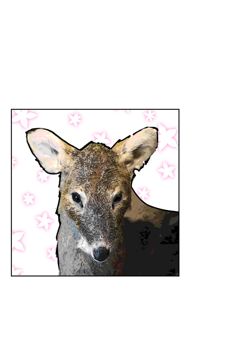 第75章：禁止入内4