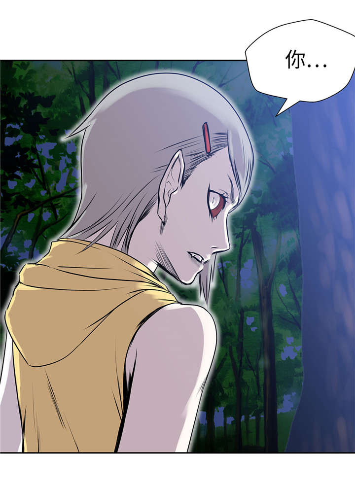 第28章：不一样2