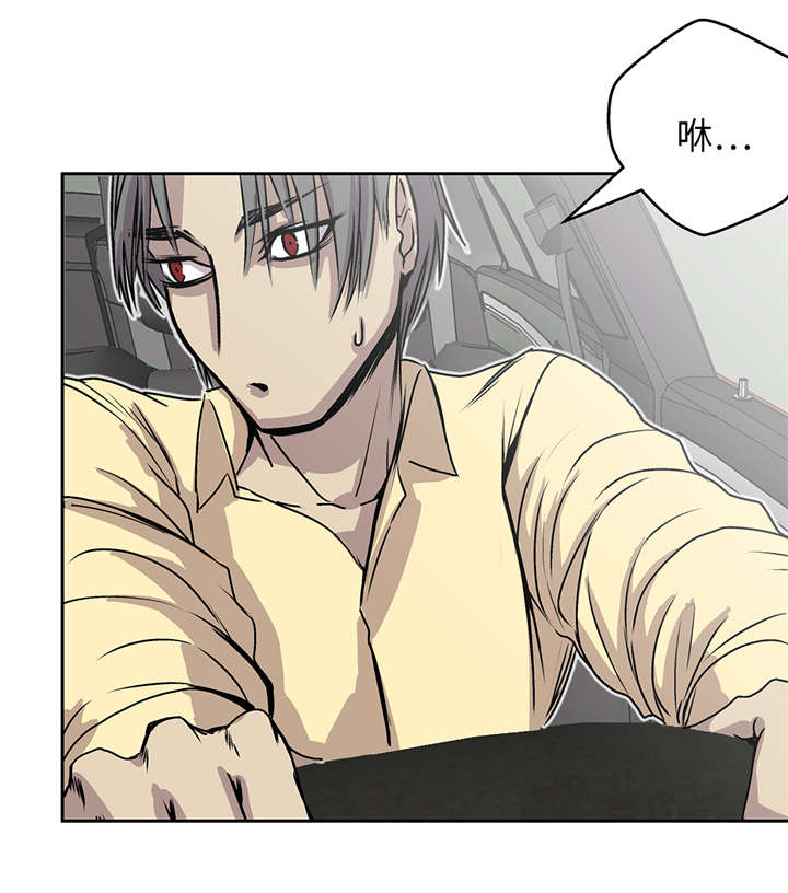 我不是吸血鬼 经典传奇漫画,第40章：集结3图