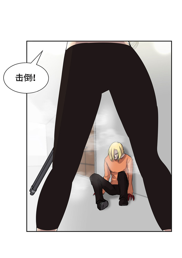 我才不是小可怜短剧免费观看星辰影院漫画,第23章：看看你有什么能耐3图