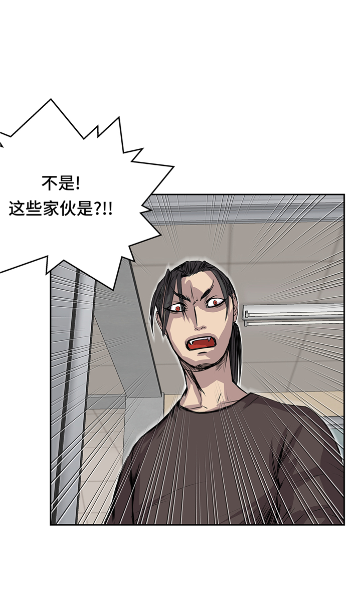 我才不是吸血废宅漫画,第78章：全面开战2图