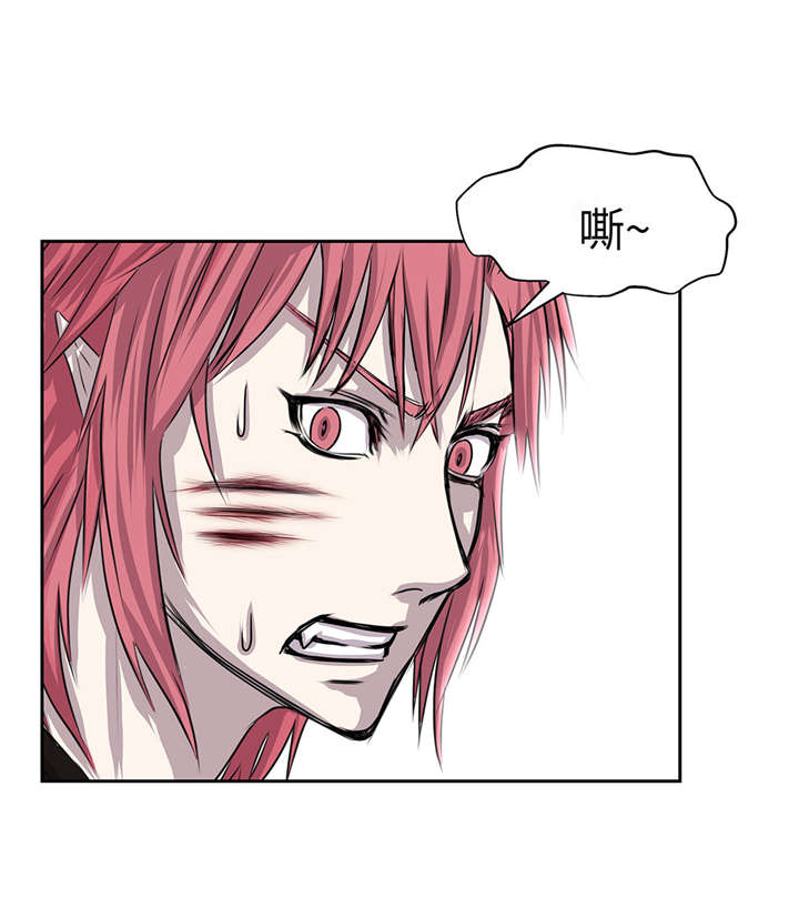 第28章：不一样0