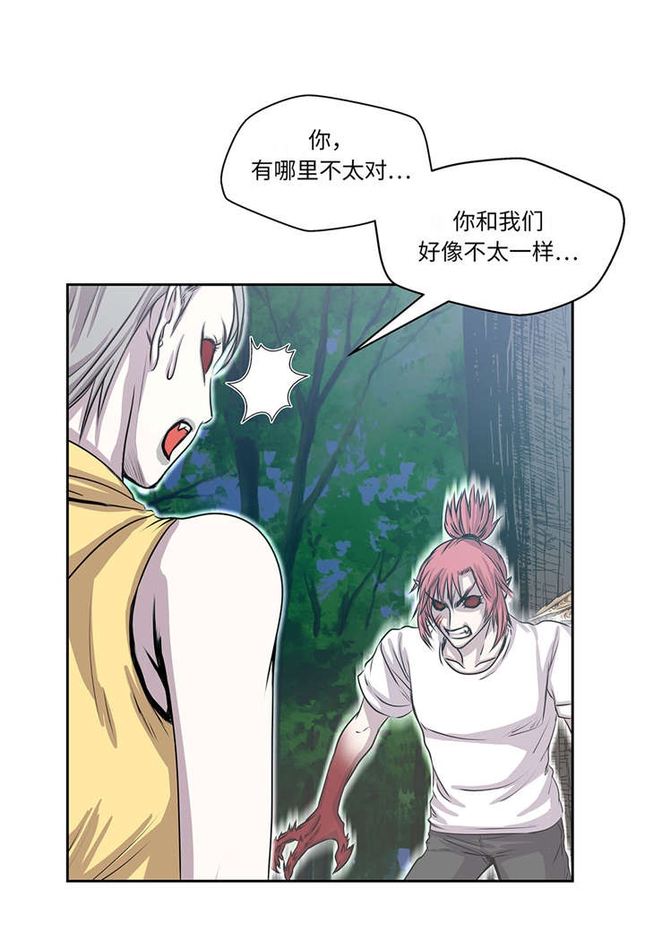 第28章：不一样2