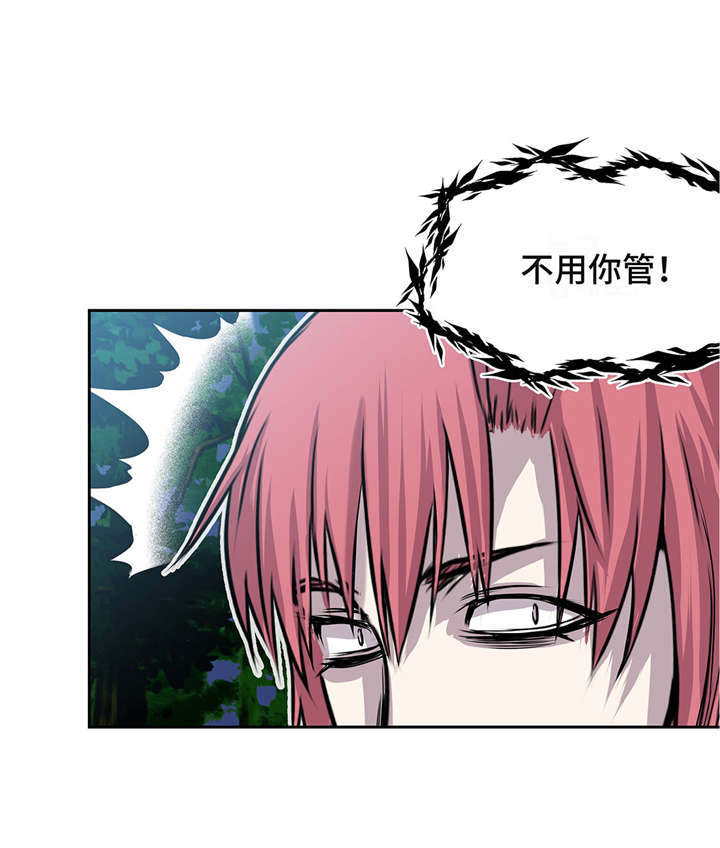 第28章：不一样4