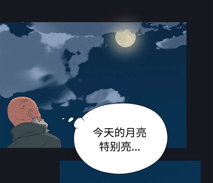 红人岛漫画,第26章：海盗1图