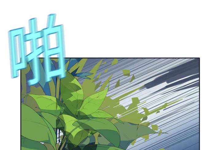 红人岛漫画,第3章：沉船3图