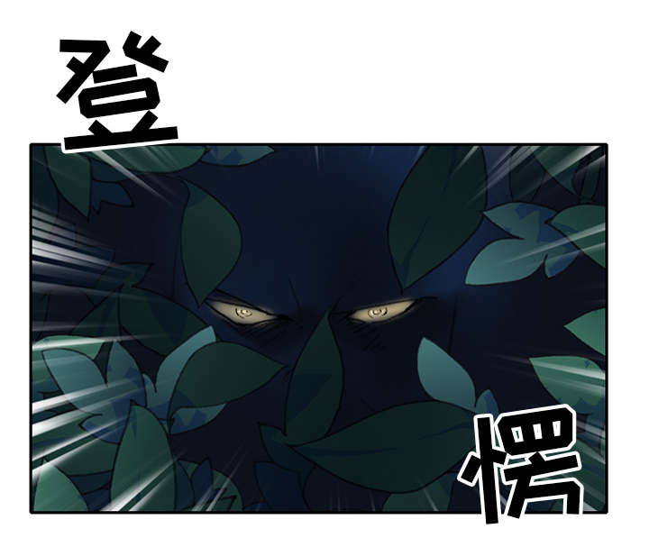 红人岛漫画,第48章：大结局1图