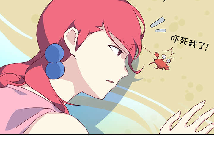 红人岛漫画,第48章：大结局1图