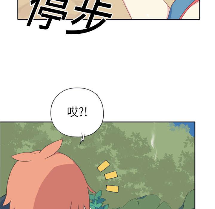 红人岛漫画,第7章：篝火2图