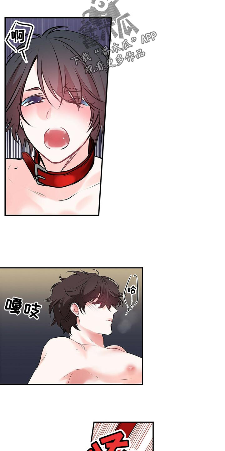 特别研究漫画,第138章：【番外】我永远的花朵（完结）3图