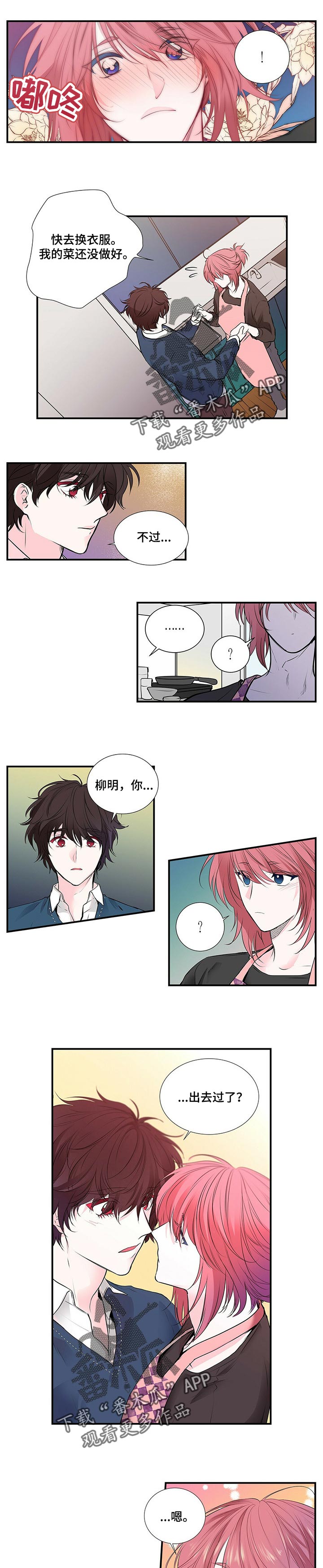 特别研究漫画,第115章：去能结婚的地方4图