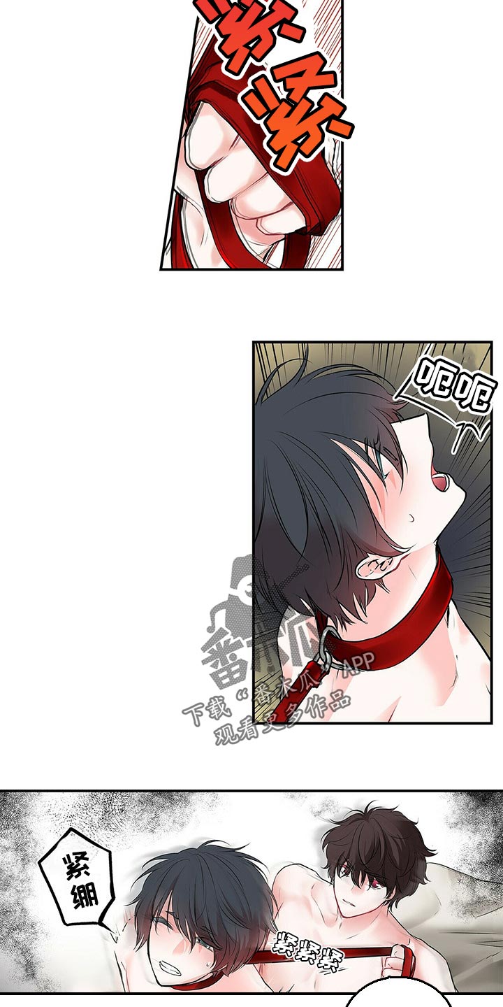 特别研究漫画,第138章：【番外】我永远的花朵（完结）4图