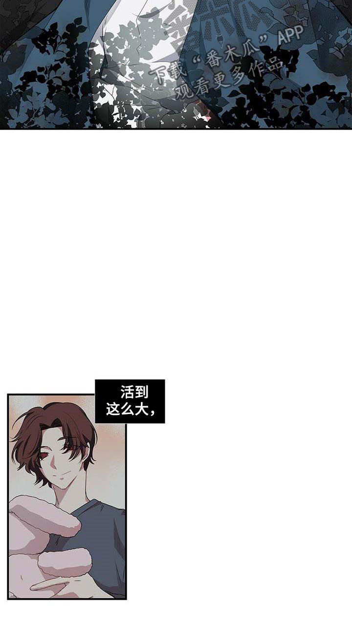 特别研究漫画,第50章：放心不下4图