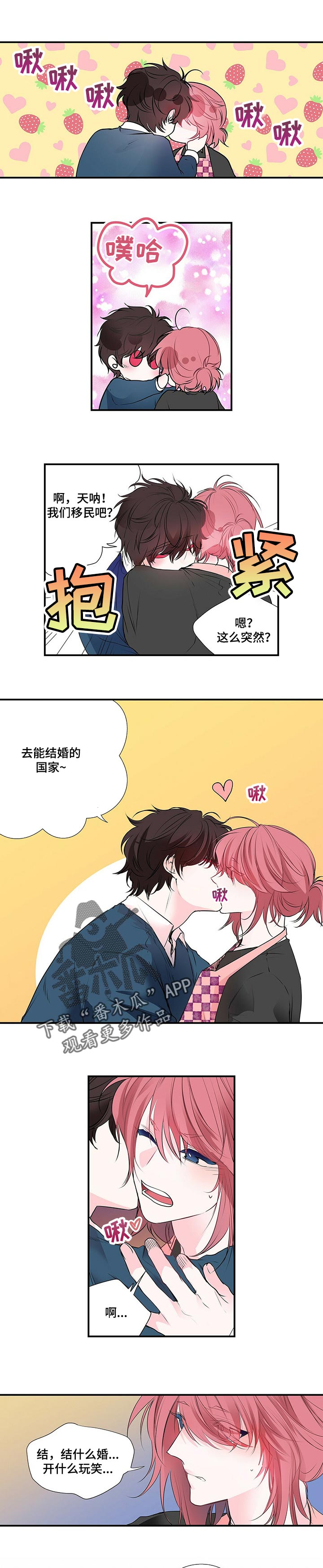 特别研究漫画,第115章：去能结婚的地方2图