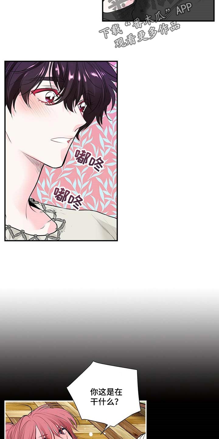 特别研究漫画,第116章：给你想要的3图