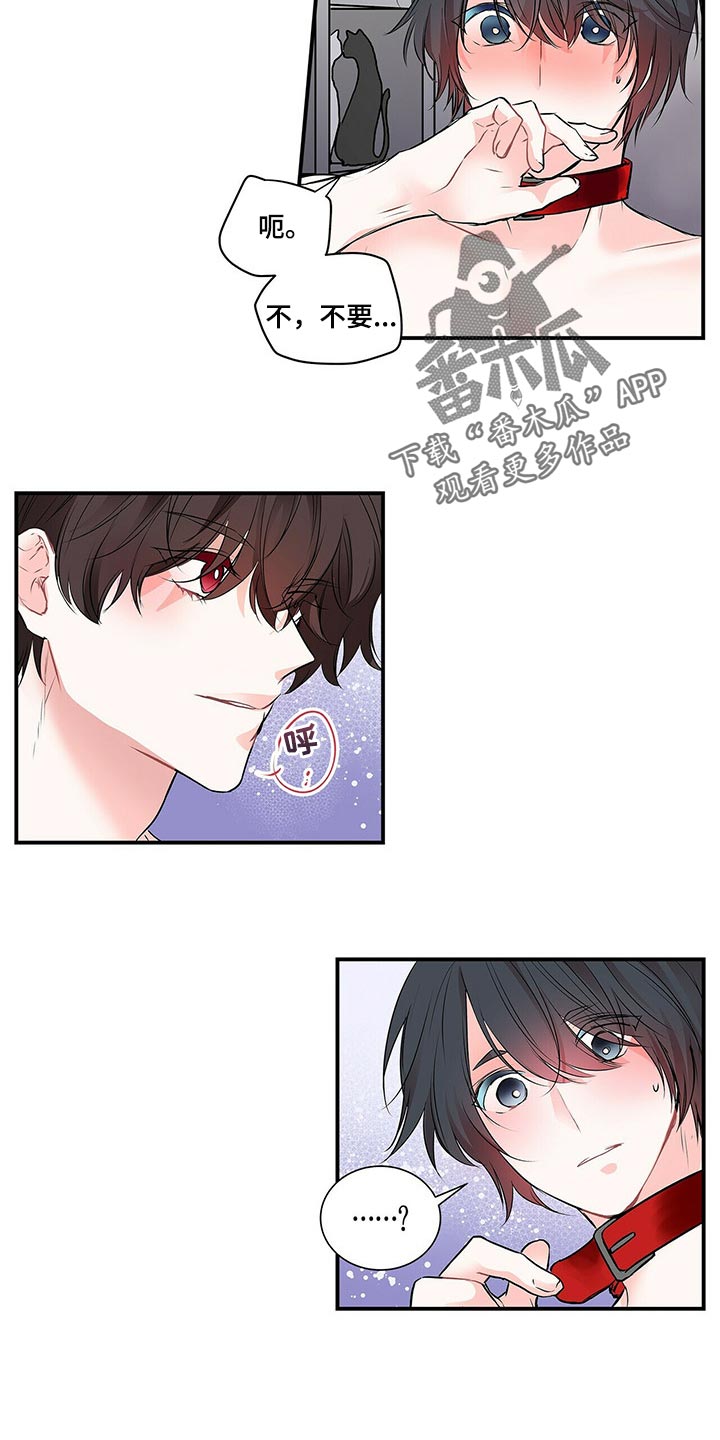 特别研究助理与博士后有什么区别漫画,第138章：【番外】我永远的花朵（完结）2图