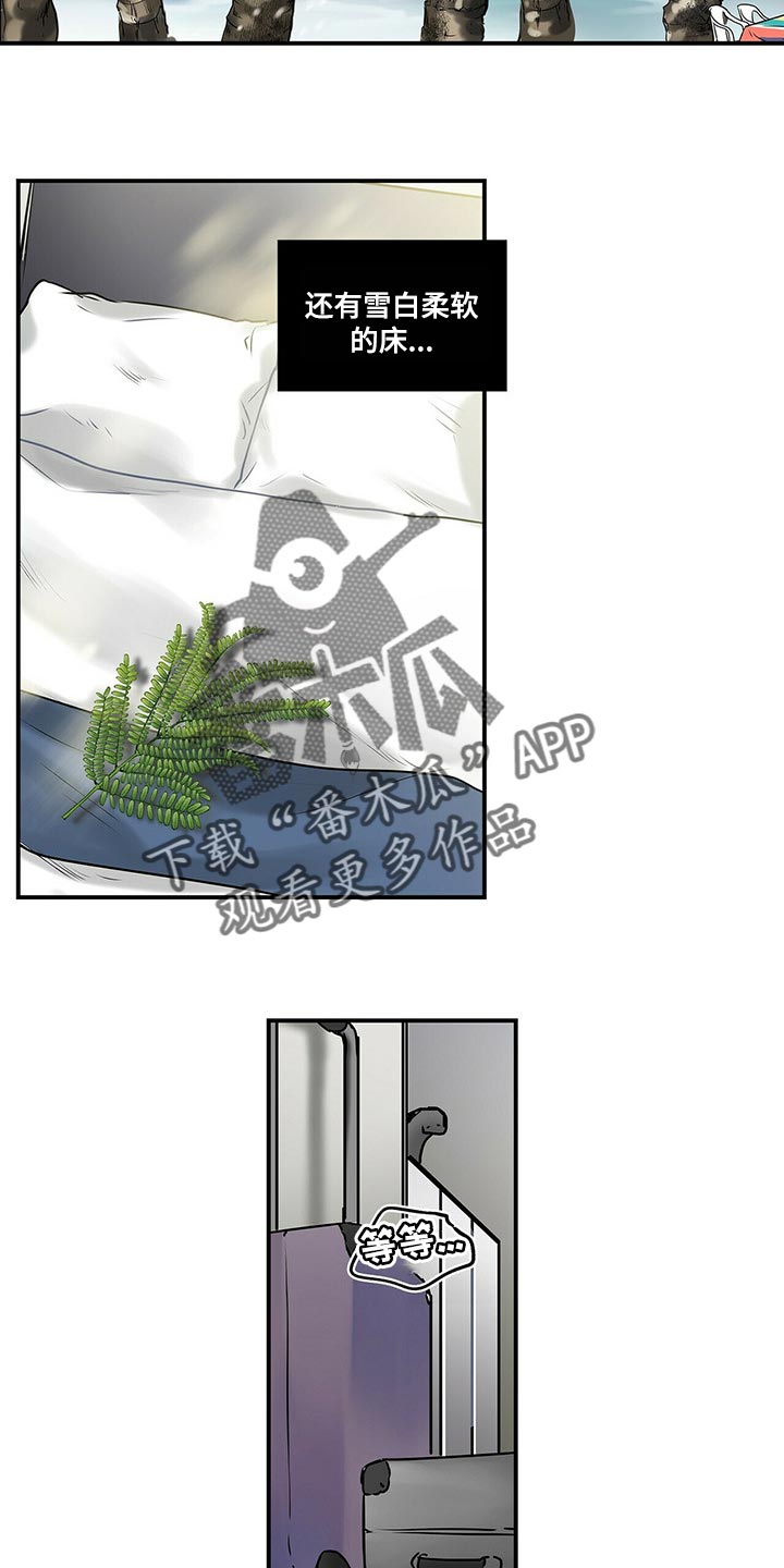 特别研究漫画,第135章：【番外】结婚1图