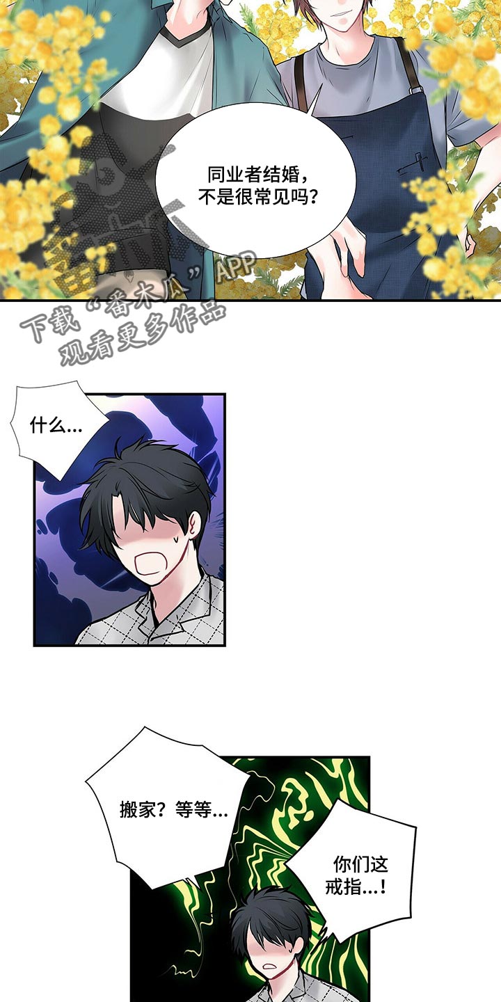 特别研究漫画,第135章：【番外】结婚5图