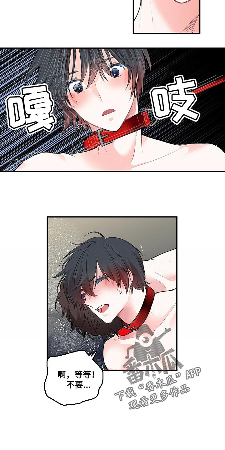 特别研究助理与博士后有什么区别漫画,第138章：【番外】我永远的花朵（完结）3图