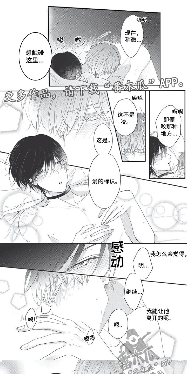 独家阿尔法漫画,第19章：试炼1图