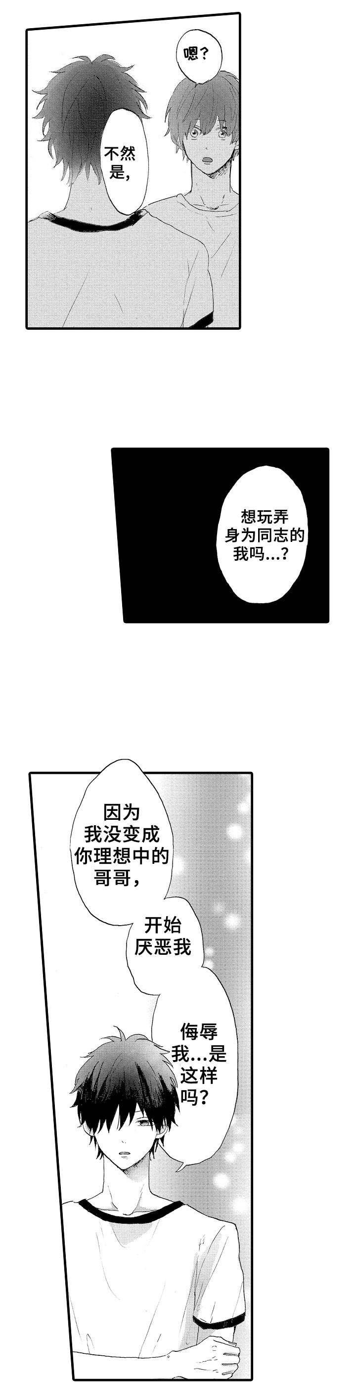 想亲吻哥哥漫画,第20章：怎样的人5图