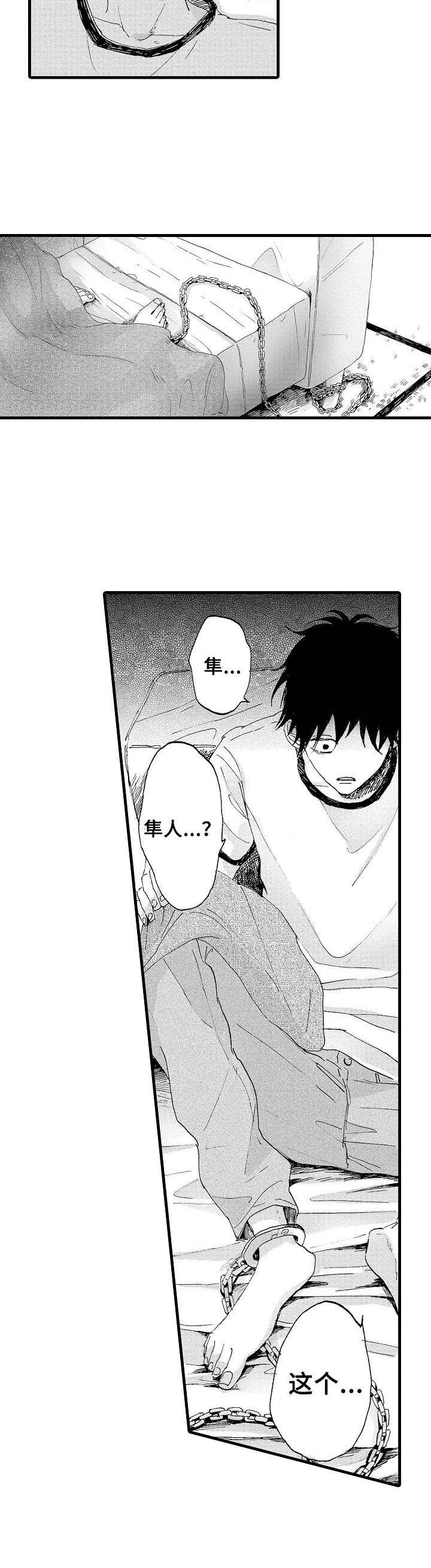 想亲吻哥哥漫画,第19章：脚镣2图