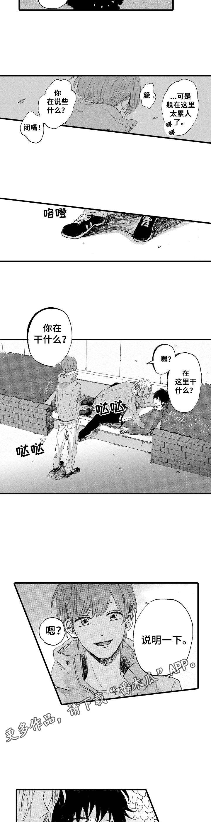 想亲吻哥哥漫画,第5章：质问5图