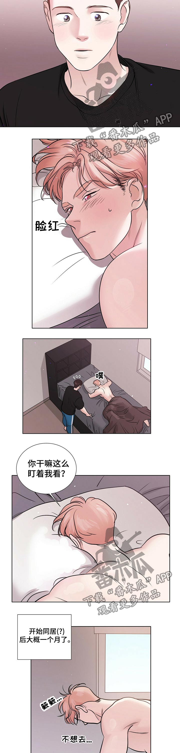 越界恋情漫画,第76章：同居2图