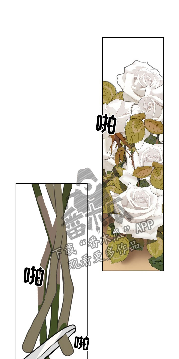 刑警与杀人犯对决片段漫画,第16章：过热：暗潮涌动1图