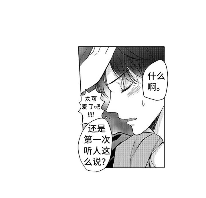 偶像暗恋漫画,第15章：蒸蒸日上3图