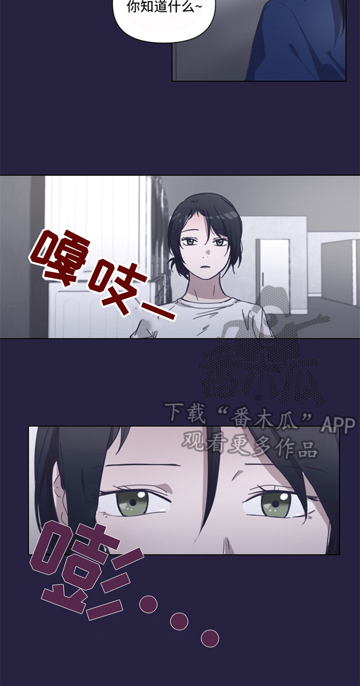 变奏曲式漫画,第4章：认识4图