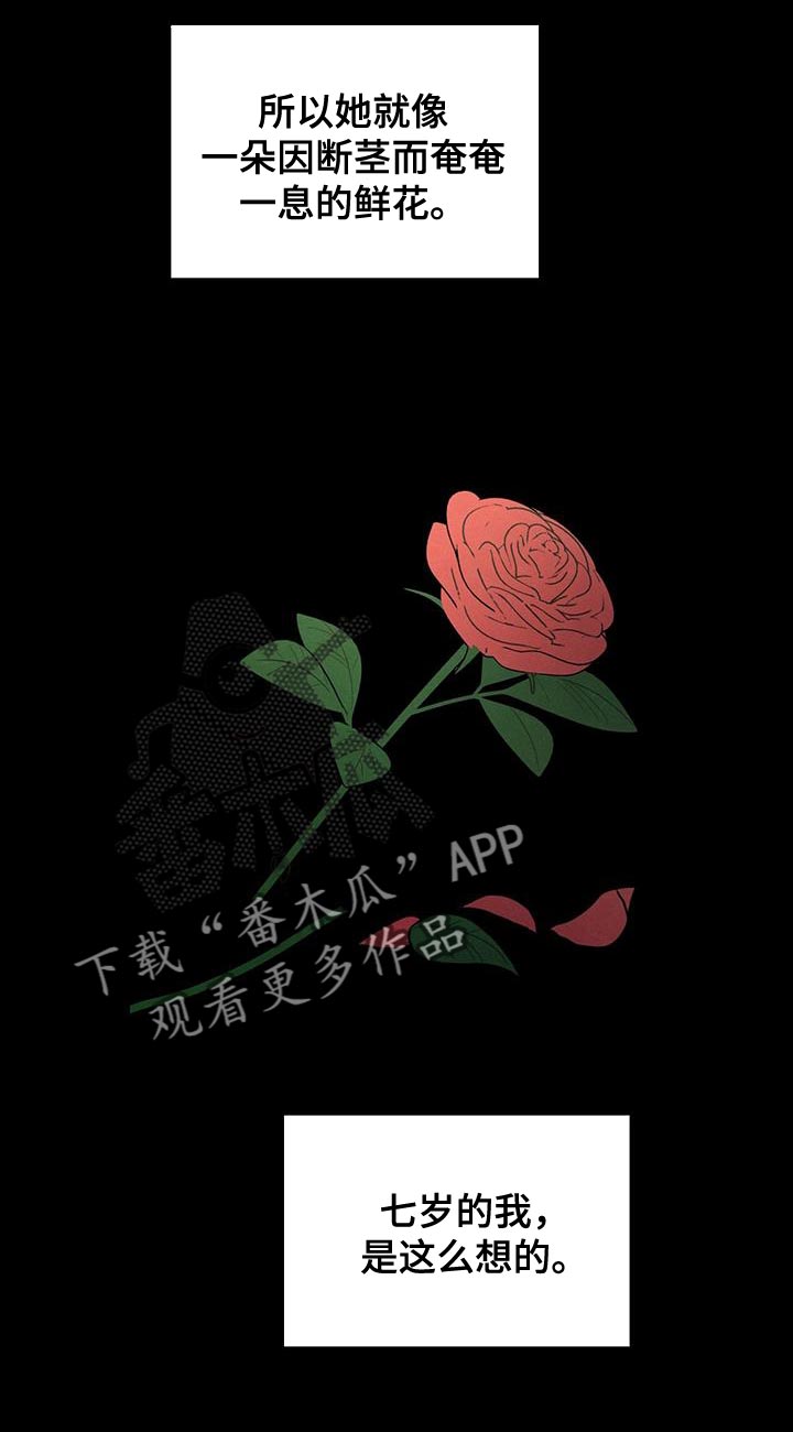 模糊的边缘漫画 图片漫画,第88章：【第二季】奄奄一息的鲜花2图