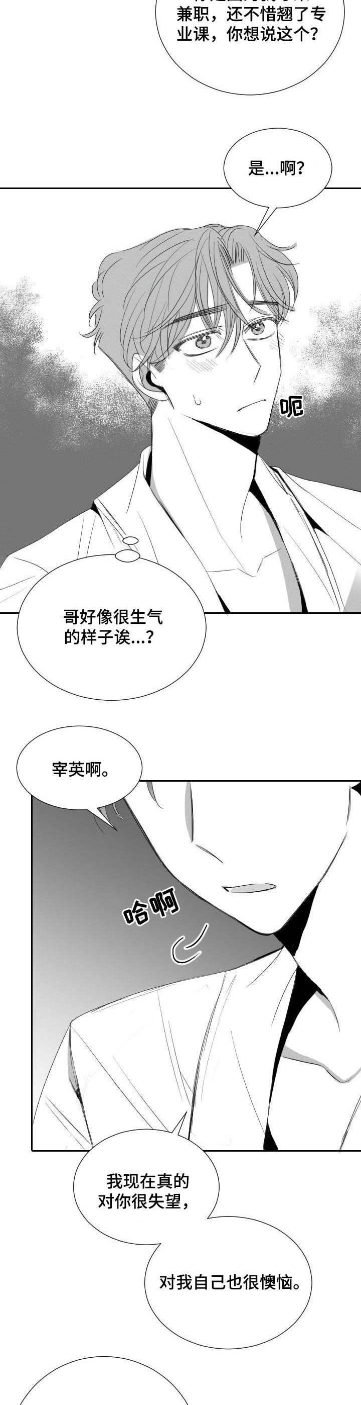 彗星出租店漫画,第31章：分歧3图