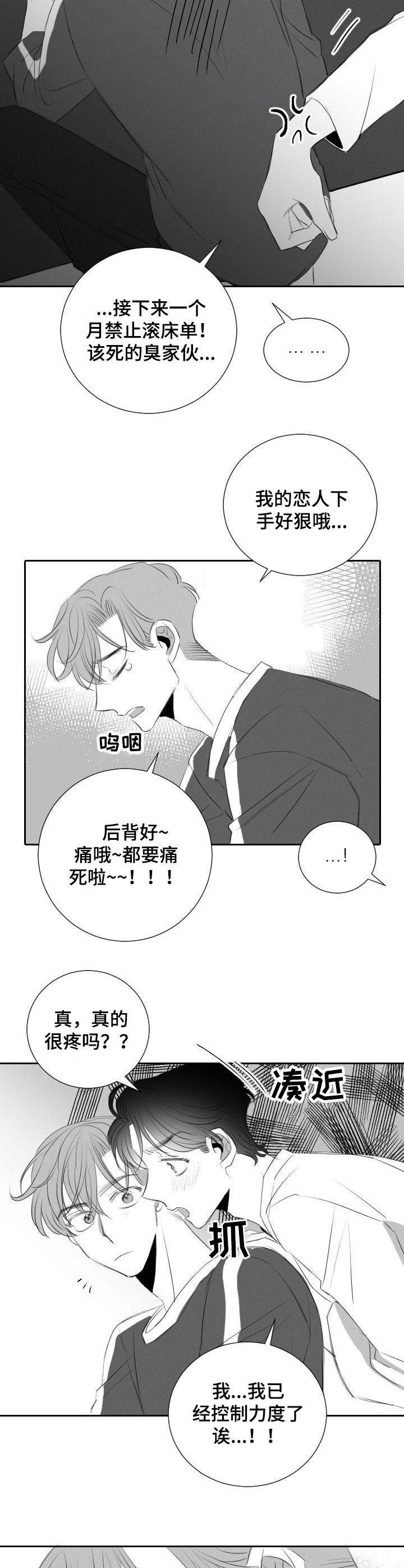 彗星出租店漫画,第42章：满足（完结）5图