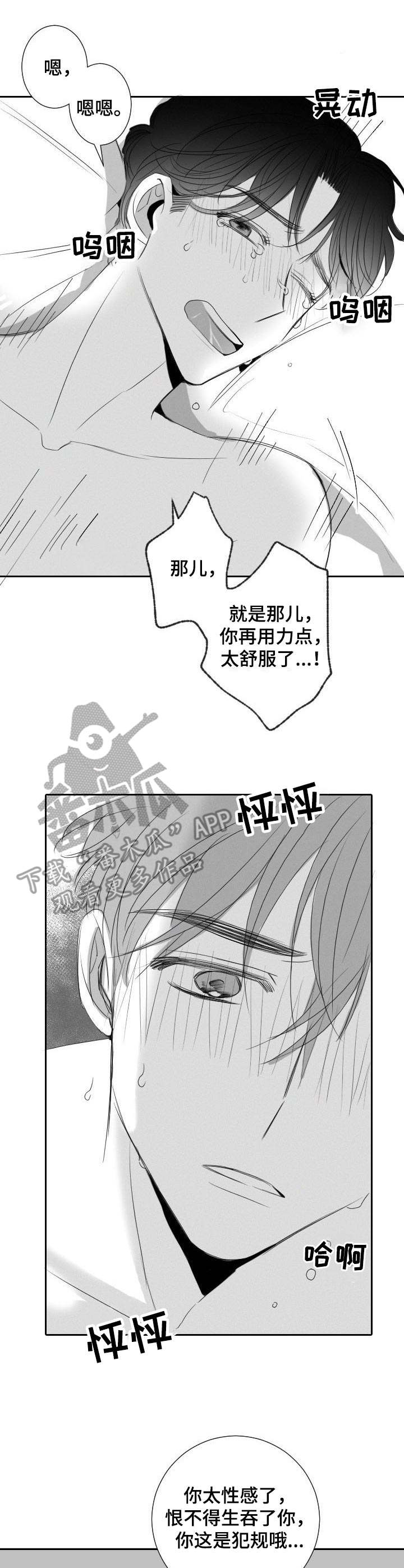 彗星出租店漫画,第29章：不用克制3图
