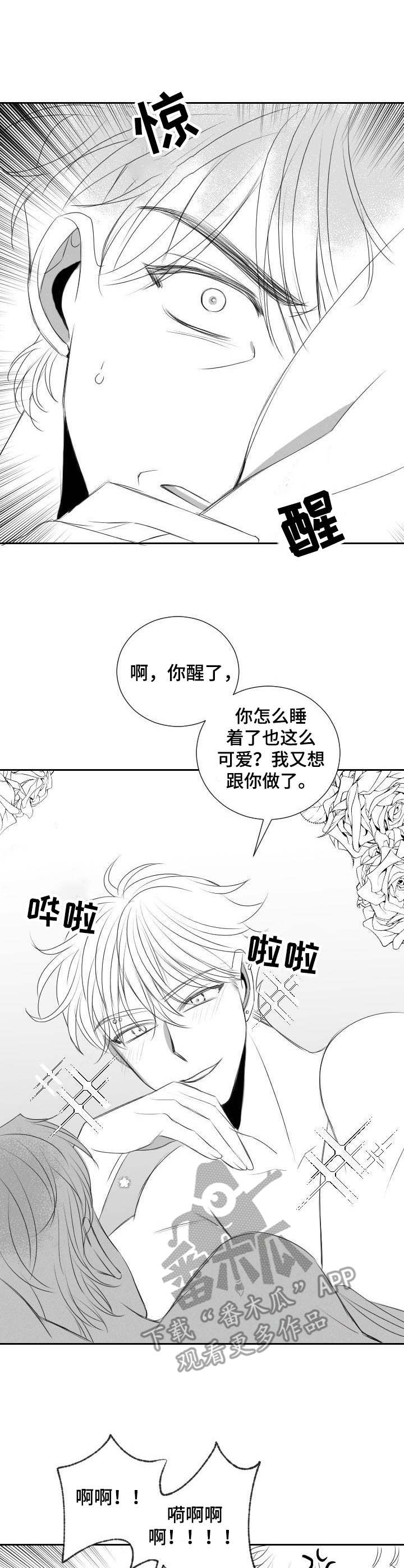 彗星出租店漫画,第40章：遵循本心3图