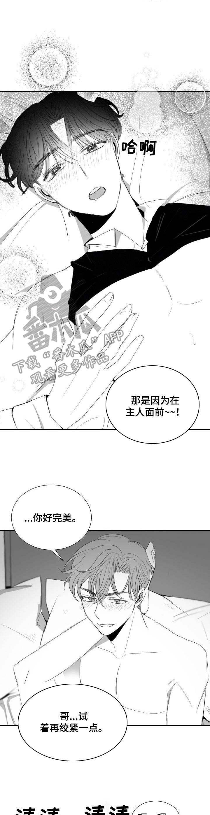 彗星出租店漫画,第36章：甜蜜恋爱5图