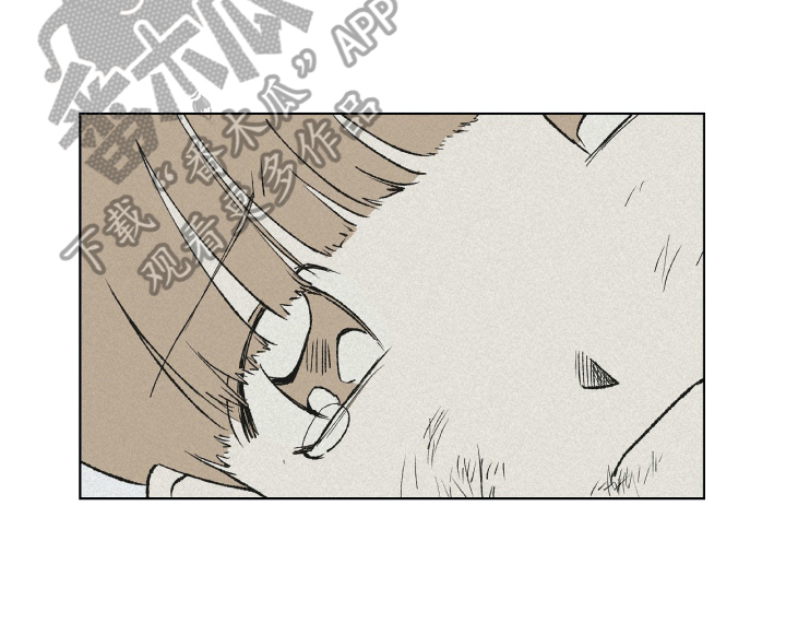 无生母的来历怎么讲漫画,第24章：日记2图