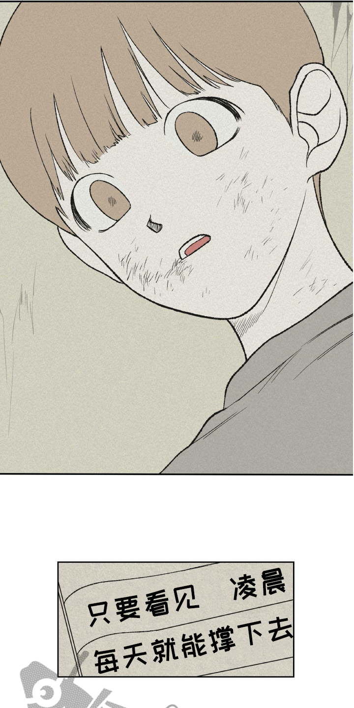 无生母的来历怎么讲漫画,第24章：日记1图