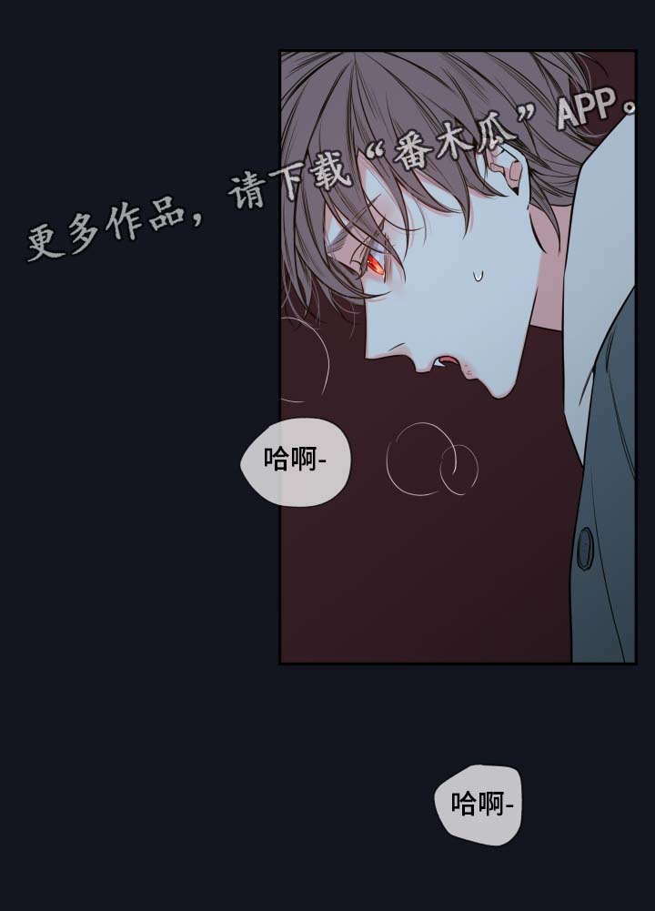 半血马运输费用漫画,第52章：一模一样的人1图