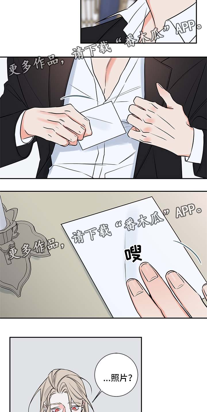 半吸血鬼是什么电影漫画,第88章：戒指2图