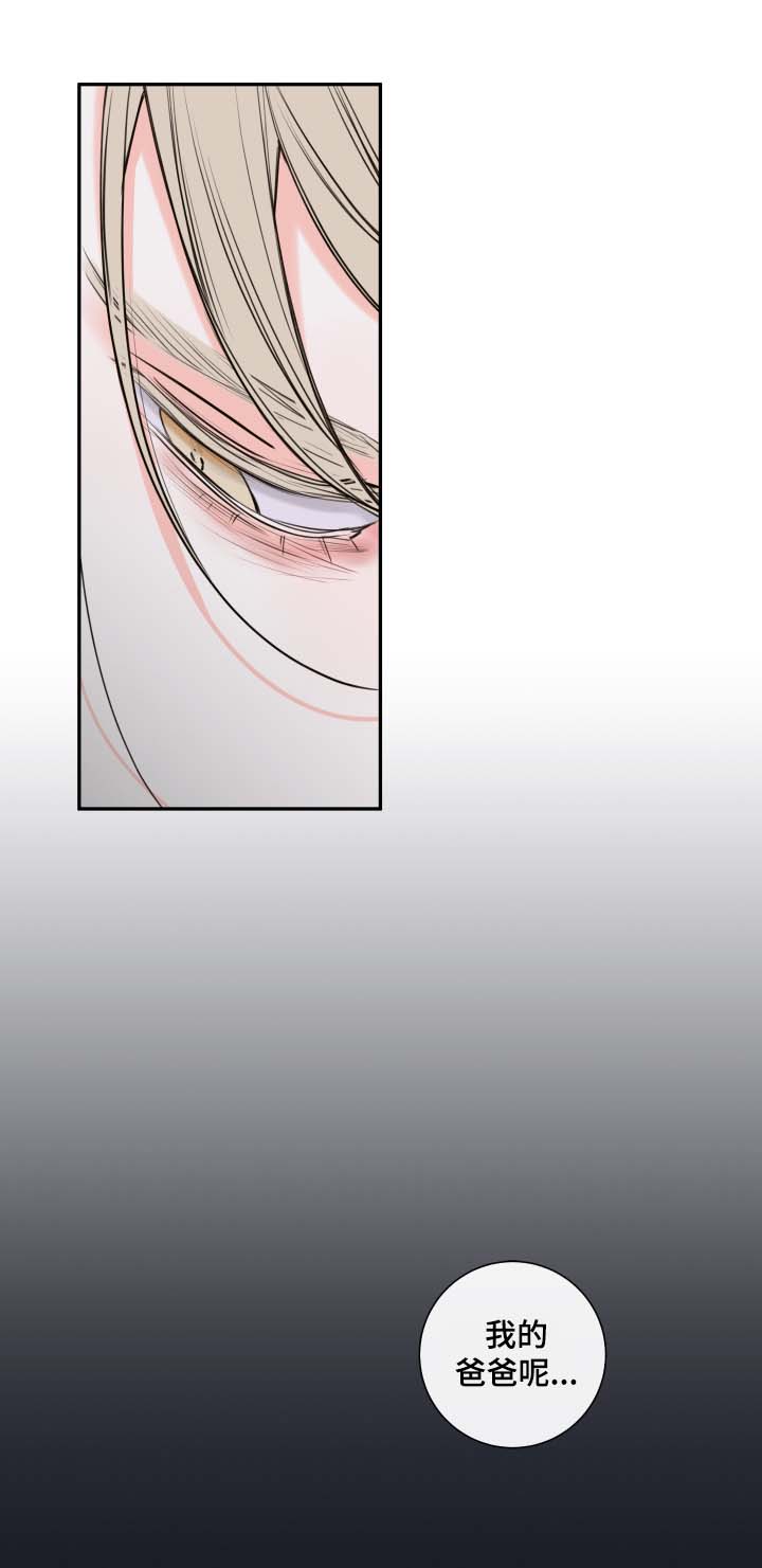 半夏漫画,第56章：来晚了3图