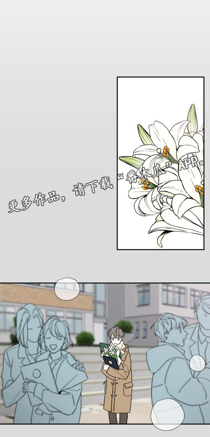 半血族漫画,第78章：尘埃落定5图