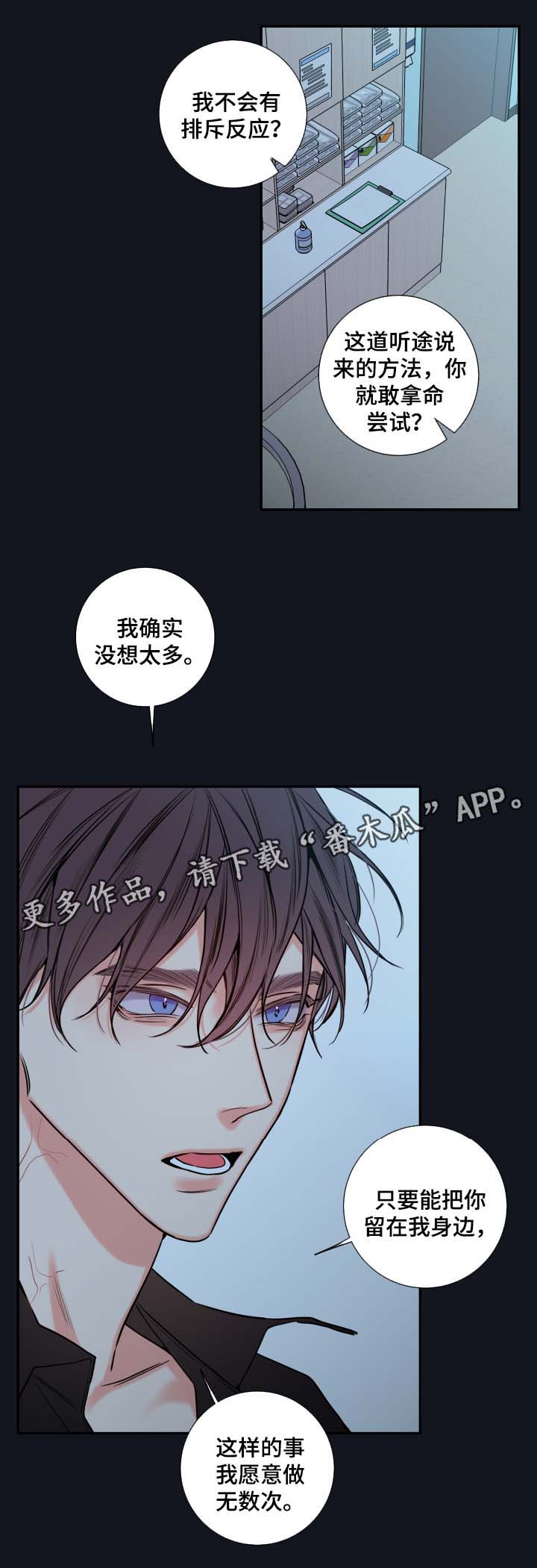 半血马和改良马有什么不一样漫画,第60章：异常情况5图