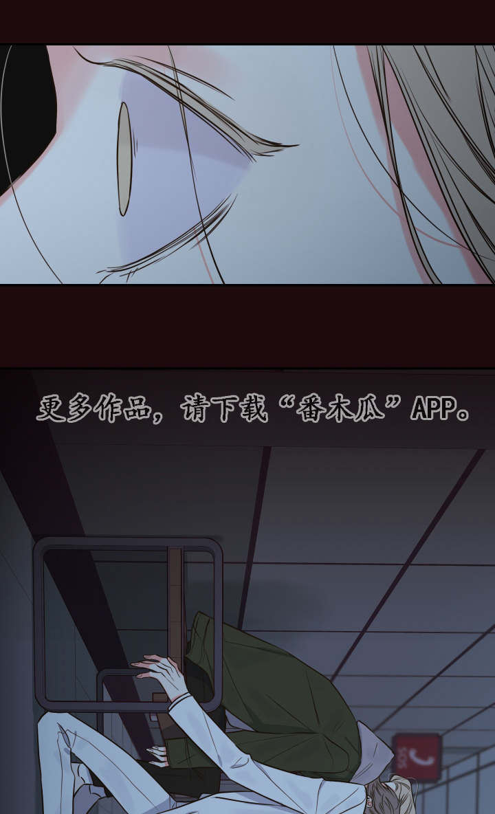 血族半人类漫画,第33章：该走了1图