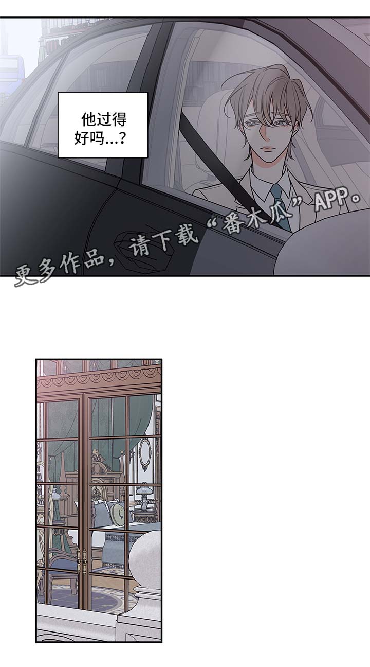 半血马价格是多少漫画,第88章：戒指5图